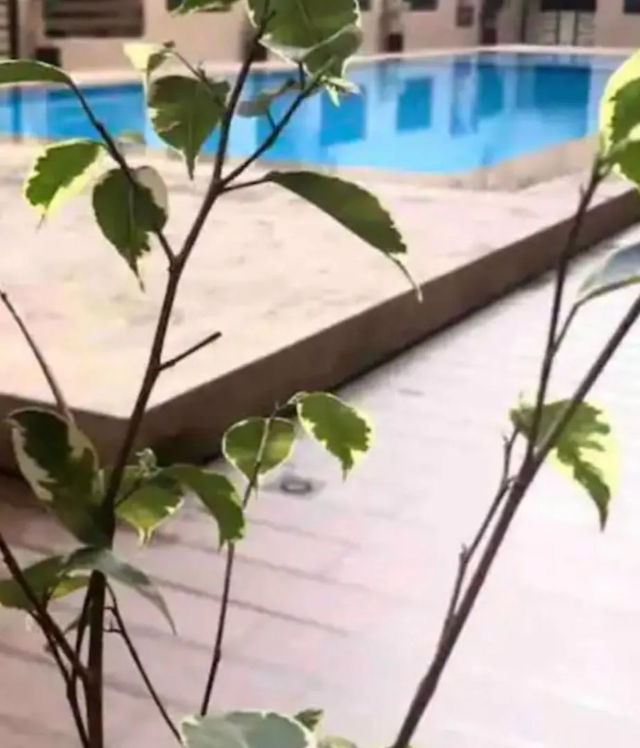 Appartement De Luxe Et Moderne Μαρακές 0*,  Μαρόκο